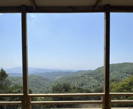 Panoramic view of green hills through a veranda.