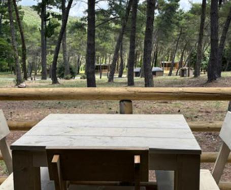 Tavolo di legno all'aperto in una foresta con vista sugli alberi.